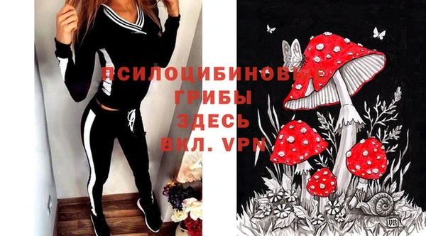 спайс Осинники