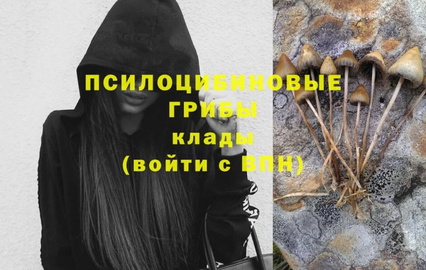 ПСИЛОЦИБИНОВЫЕ ГРИБЫ Нягань