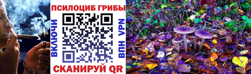 где продают   кракен сайт  Галлюциногенные грибы Magic Shrooms  Благовещенск 