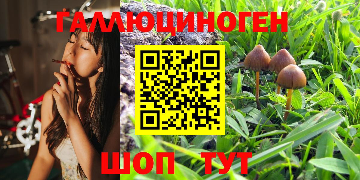 Благовещенск  Псилоцибиновые грибы Magic Shrooms  Вход с VPN 