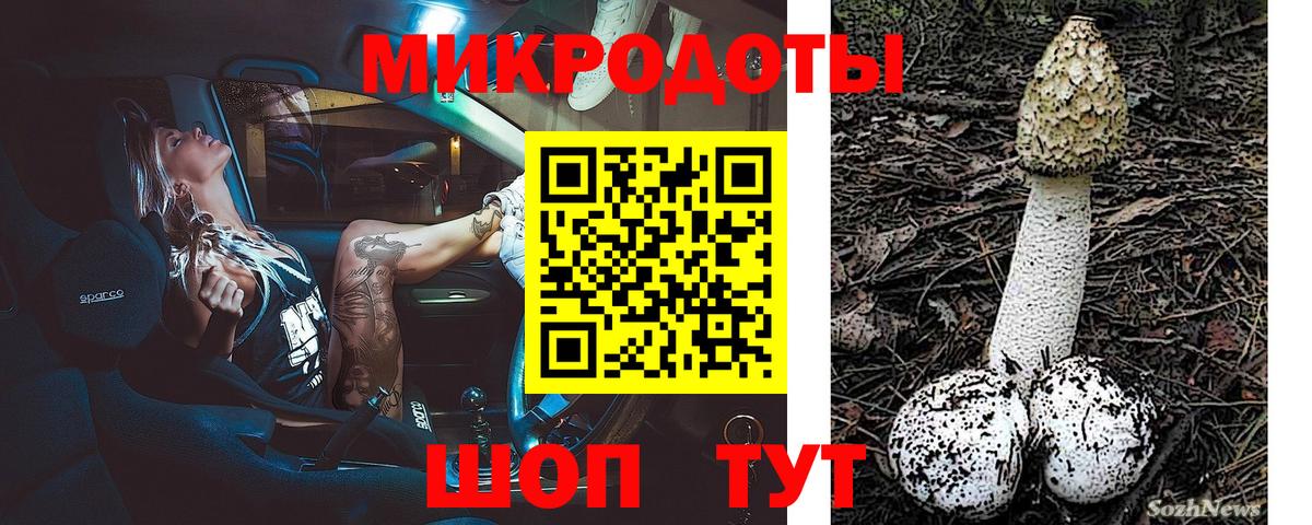 Псилоцибиновые грибы прущие грибы  Благовещенск 